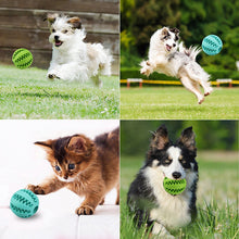 Load image into Gallery viewer, Dog Toy Ball Food Funny Toothbrush