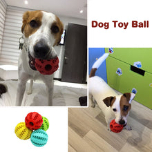 Load image into Gallery viewer, Dog Toy Ball Food Funny Toothbrush