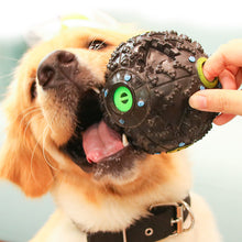 Load image into Gallery viewer, Dog Toy Ball Food Funny Toothbrush