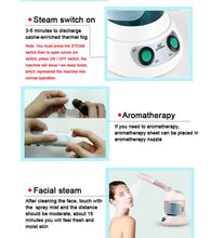 Load image into Gallery viewer, Face Hair Steamer Humidifier