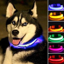 Load image into Gallery viewer, Nylon LED Pet dog Collar