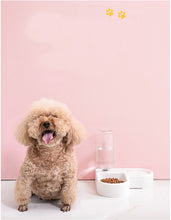 Load image into Gallery viewer, Automatic Pet Feeder Bowl