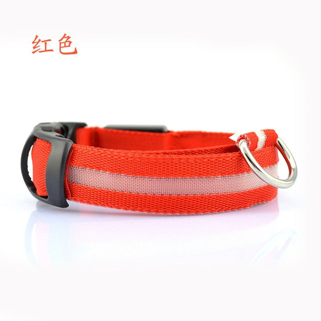 Nylon LED Pet dog Collar