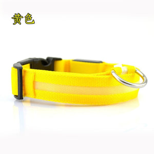 Nylon LED Pet dog Collar