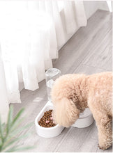 Load image into Gallery viewer, Automatic Pet Feeder Bowl
