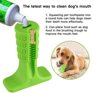 Dog Toy Ball Food Funny Toothbrush