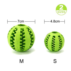 Dog Toy Ball Food Funny Toothbrush